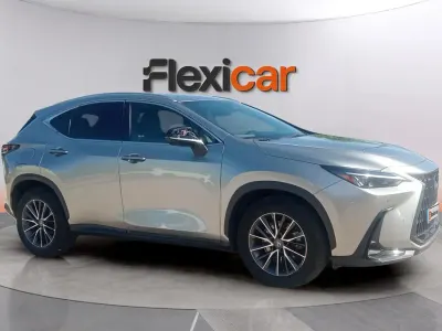 Usado Lexus NX450h+ Sport Line 309 CV (227 kW) 2022 Gris SUV