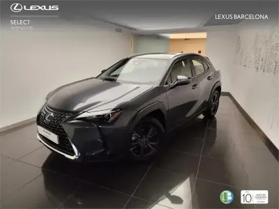 Usado Lexus UX 300h 199 CV (146 kW) 2025 Gris SUV
