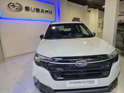 Nuevo Subaru Forester 136 CV (100 kW) 2025 Blanco SUV
