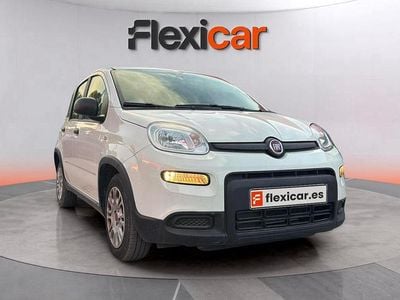 Blanco Usado 2024 Fiat Panda Berlina | 9990 € (Buen precio)