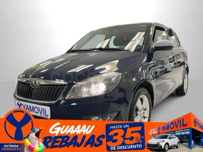 Usado Skoda Fabia