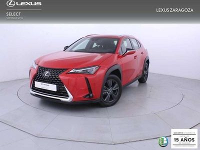 Usado Lexus UX 250h Business Edition 184 CV (135 kW) 2022 Rojo SUV