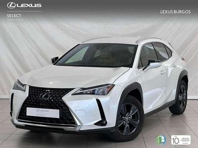 Blanco Usado 2023 Lexus UX 250h SUV | 31.970 € (Precio justo)