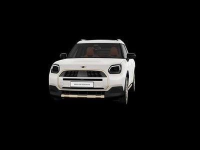 Usado Mini Countryman