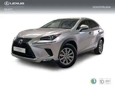 Usado Lexus NX300h Business Edition 197 CV (144 kW) 2018 Gris SUV
