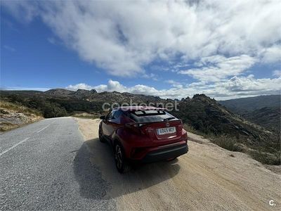 Usado Toyota C-HR Advance 122 CV (89 kW) 2022 Rojo SUV