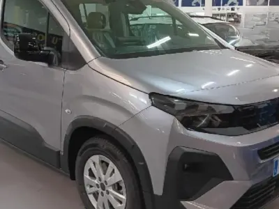 Usado Peugeot Rifter