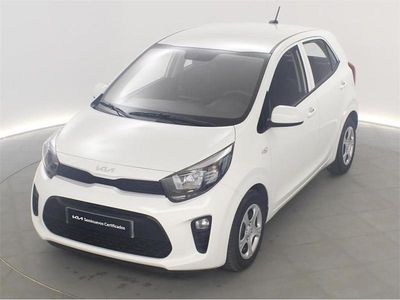 Usado Kia Picanto 67 CV (49 kW) 2024 Blanco Utilitario
