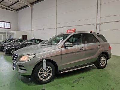 Mercedes ML250