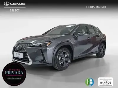 Usado Lexus UX 199 CV (146 kW) 2025 Gris SUV