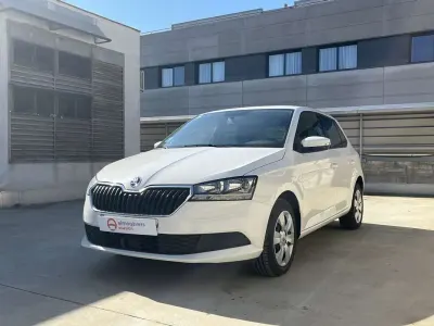 Brugt Skoda Fabia
