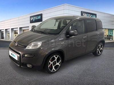 Usado Fiat Panda Sport 71 CV (52 kW) 2020 Gris Utilitario