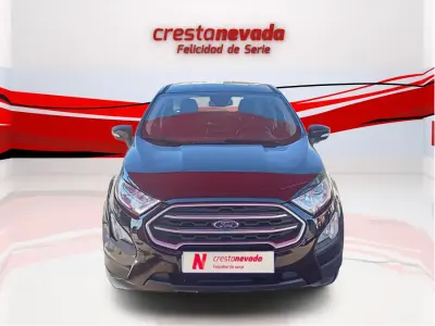 Usado Ford Ecosport Trend 100 CV (73 kW) 2020 SUV