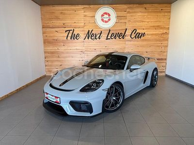 Gris / plata Usado 2020 Porsche 718 Cayman GT4 Coupe | 118.990 € (Un poco caro)