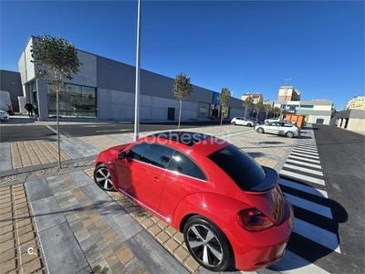 VW Beetle