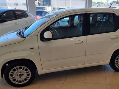 usado Fiat Panda 1.2 Lounge