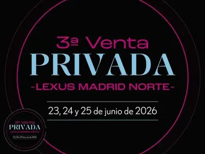Usado Lexus UX 300e