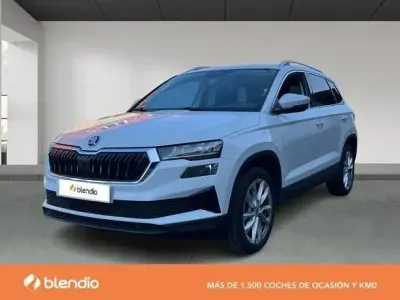 Usado Skoda Karoq