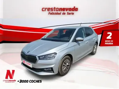 Occasion Skoda Fabia Selection 95 PK (69 kW) 2024 Grijs Hatchback