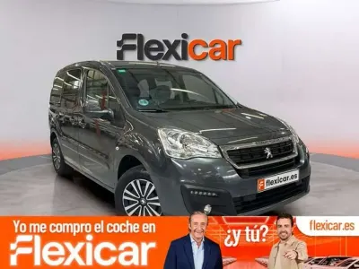 Usado Peugeot TePee