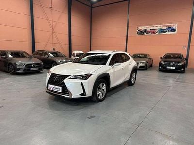 Usado Lexus UX 250h