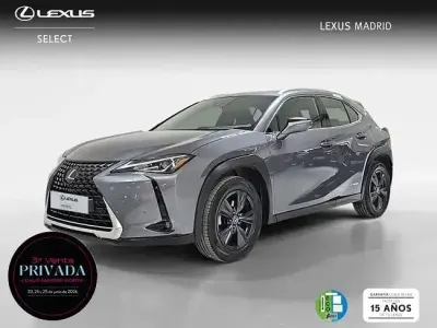 Usado Lexus UX Business Edition 184 CV (135 kW) 2021 Gris SUV