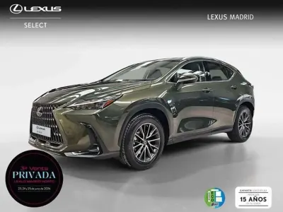 Usado Lexus NX300h Business Edition 242 CV (177 kW) 2022 Verde SUV