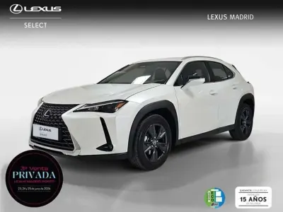 Usado Lexus UX 300h 199 CV (146 kW) 2025 Blanco SUV