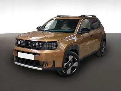 Usado Fiat Grande Panda