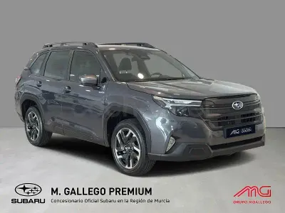 Usado Subaru Forester
