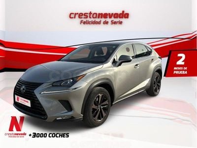Usado Lexus NX300h Sport Line 197 CV (144 kW) 2019 Gris / plata SUV