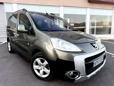 Usado Peugeot TePee