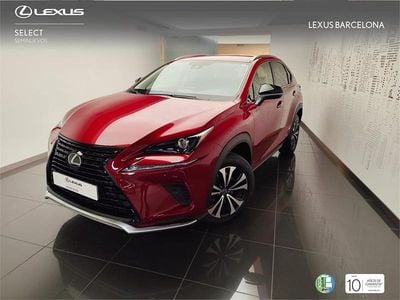 Usado Lexus NX300h 197 CV (144 kW) 2021 Rojo SUV
