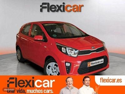 Usado Kia Picanto 67 CV (49 kW) 2020 Rojo Utilitario