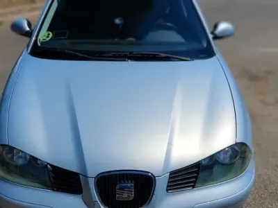 Usado Seat Ibiza 75 CV (55 kW) 2003 Gris Utilitario