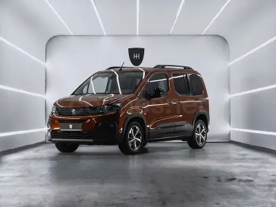 Usado Peugeot Rifter