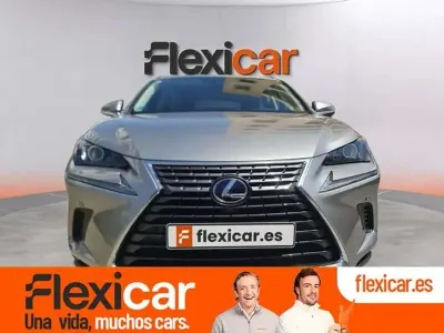 Usado Lexus NX300h Business Edition 197 CV (144 kW) 2020 Gris SUV