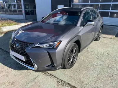 Usado Lexus UX 250h Business Edition 184 CV (135 kW) 2022 Gris SUV