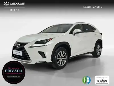 Usado Lexus NX300h Business Edition 197 CV (144 kW) 2019 Blanco SUV