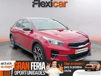 Usado Kia XCeed 141 CV (103 kW) 2021 Rojo SUV