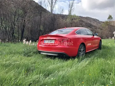 Usado Audi S5 Sportback 333 CV (244 kW) 2014 Rojo Utilitario