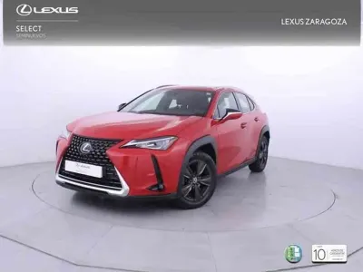 Usado Lexus UX 250h Business Edition 184 CV (135 kW) 2019 Rojo SUV