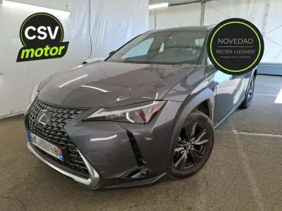 Usado Lexus UX 300h Business Edition 199 CV (146 kW) 2025 SUV