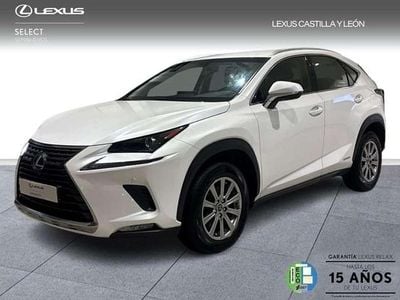 Usado Lexus NX300h Business Edition 197 CV (144 kW) 2018 Blanco SUV