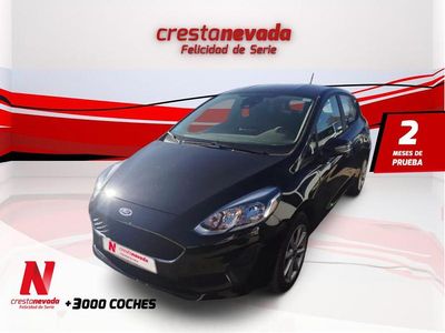 Usado 2019 Ford Fiesta Trend | 12.140 € (Precio justo)