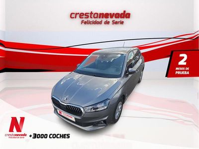 Gris Usado 2024 Skoda Fabia Selection | 16.990 € (Un poco caro)
