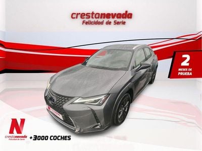Usado Lexus UX Business Edition 192 CV (141 kW) 2020 Gris SUV