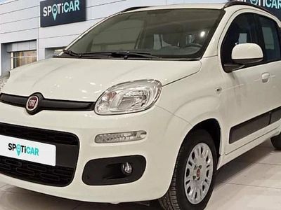 Usado Fiat Panda Lounge 69 CV (50 kW) 2020 Blanco