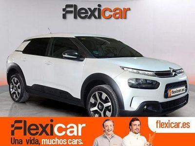 Blanco Usado 2018 Citroën C4 Cactus Feel Utilitario | 12.790 € (Caro)