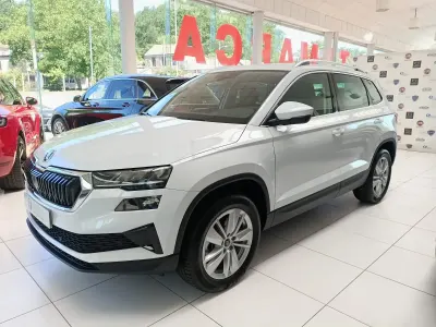 Usado Skoda Karoq